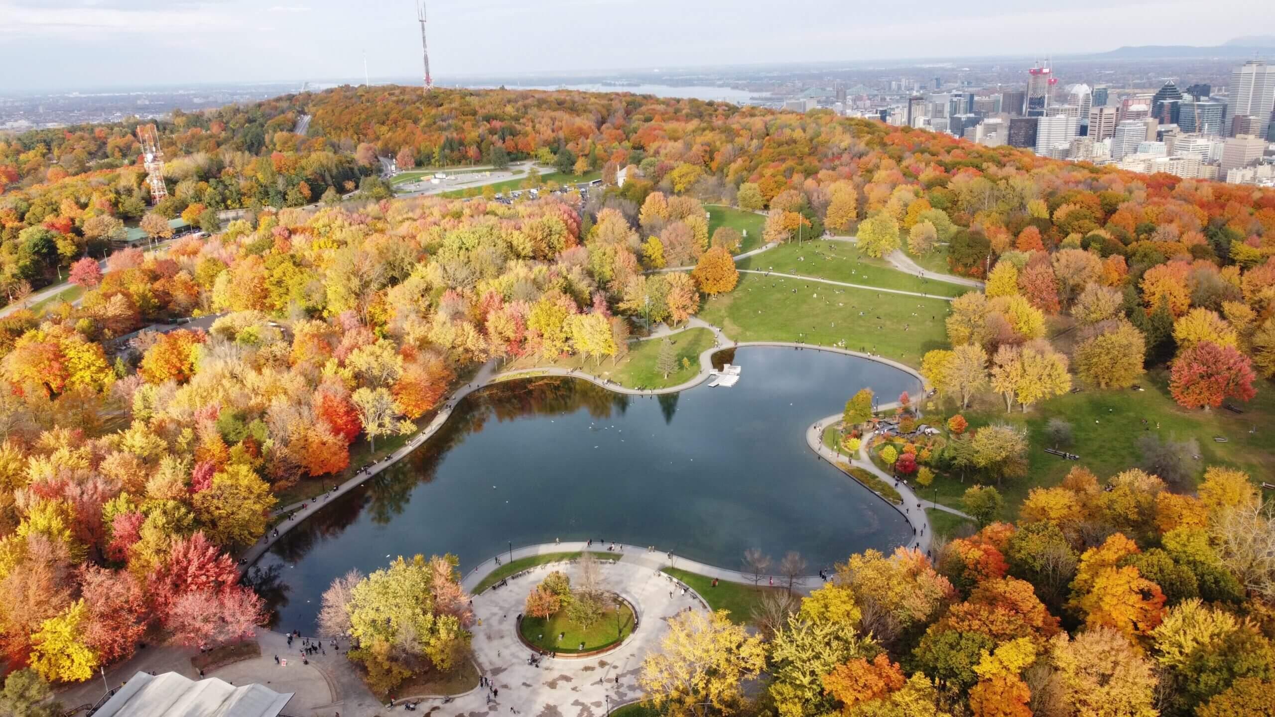 <h3>MOUNT ROYAL</h3>Mount Royal (Mont Royal in French) is a prominent natural landmark and park located in the heart of Montreal, Quebec. Rising approximately 233 meters (764 feet) above sea level, it provides stunning panoramic views of the city skyline and the surrounding landscapes. Designed by Frederick Law Olmsted, the renowned landscape architect behind New York's Central Park, Mount Royal Park spans over 200 hectares (495 acres) and offers a variety of recreational activities and natural beauty. Visitors can hike or bike along scenic trails, enjoy picnics at designated areas, or visit Beaver Lake (Lac aux Castors) for boating in the summer and ice skating in the winter. The park is also home to the Mount Royal Chalet, a historic building with a lookout terrace offering some of the best views of Montreal. Mount Royal is not only a beloved urban oasis for locals and tourists alike but also a significant symbol of Montreal's identity and natural heritage.