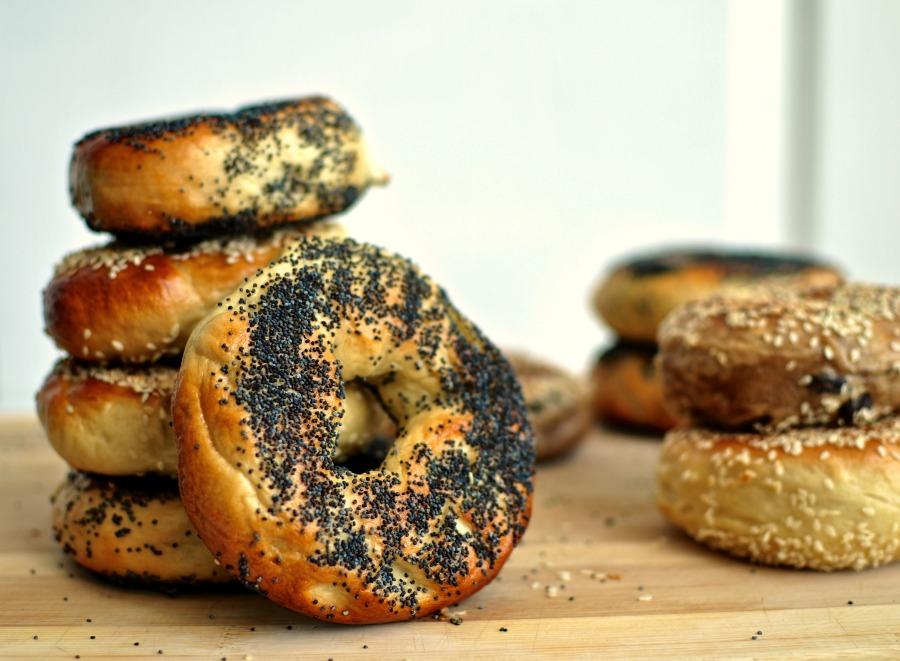 montreal-poppy-seed-bagel.jpg