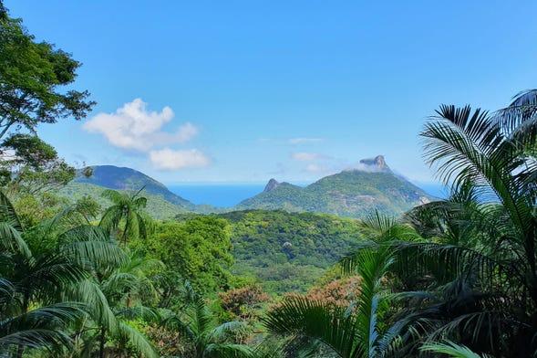 <h3>PARQUE NACIONAL DA TIJUCA</h3>O Parque Nacional da Tijuca é uma vasta floresta urbana localizada dentro do Rio de Janeiro, tornando-se uma das maiores florestas urbanas do mundo. Com mais de 32 quilômetros quadrados, o parque abriga uma flora e fauna diversificadas, incluindo cachoeiras, trilhas para caminhadas e mirantes que oferecem vistas deslumbrantes da cidade. Os visitantes podem explorar atrações como a Cachoeirinha, a Capela Mayrink e o famoso mirante Vista Chinesa, que proporciona vistas panorâmicas do Rio e das montanhas ao redor. O Parque Nacional da Tijuca oferece um refúgio tranquilo do agito da cidade, sendo um destino popular para amantes da natureza, caminhantes e aqueles que buscam aventura ao ar livre.