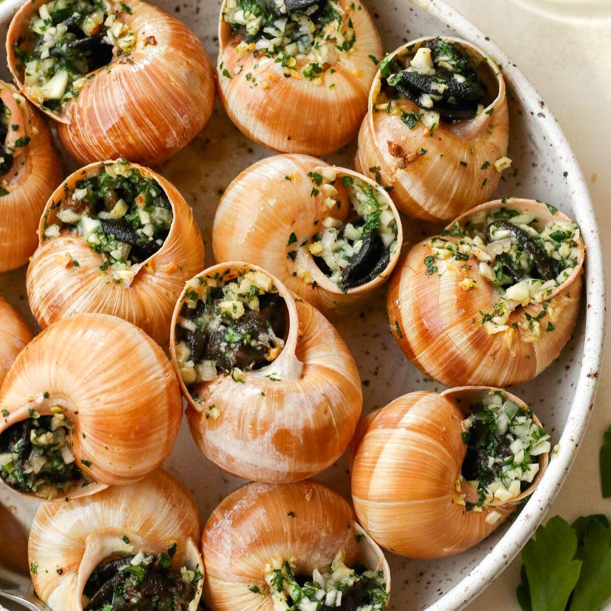 escargot-featured.jpg