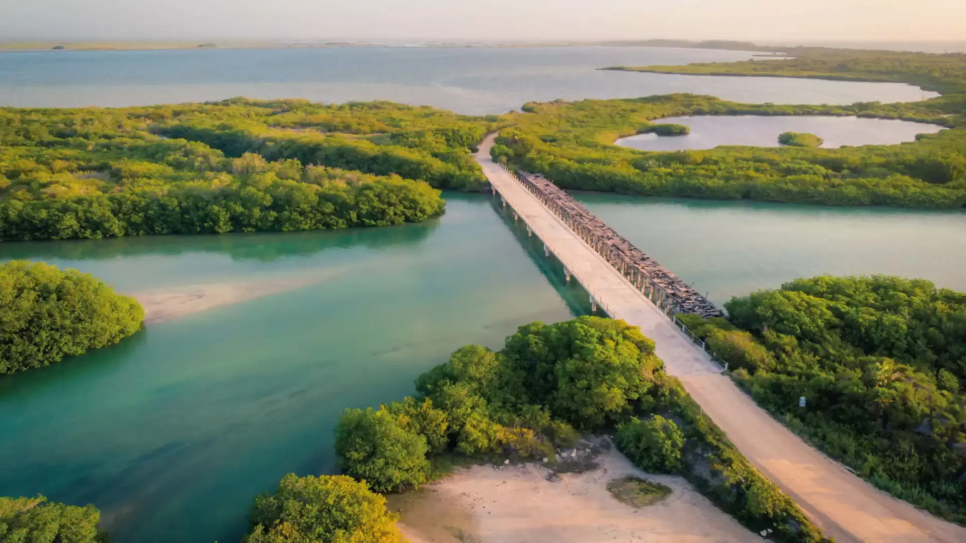 <h3>RESERVA DE LA BIOSFERA SIAN KA'AN</h3>La Reserva de la Biosfera Sian Ka'an, ubicada al sur de Tulum a lo largo de la costa caribeña de México, es un sitio Patrimonio de la Humanidad de la UNESCO conocido por su biodiversidad y hábitats naturales prístinos. La reserva abarca diversos ecosistemas, incluyendo manglares, humedales, sabanas y arrecifes de barrera, apoyando una gran cantidad de especies de vida silvestre. Los visitantes de Sian Ka'an pueden explorar sus amplios paisajes a través de ecotours, excursiones en bote y caminatas guiadas, observando fauna como delfines, manatíes, cocodrilos y numerosas especies de aves. La reserva también protege sitios arqueológicos de la antigua civilización maya, destacando su importancia cultural e histórica junto con su importancia ecológica. Sian Ka'an ofrece una visión de las maravillas naturales de México y proporciona oportunidades para actividades ecológicas y experiencias de turismo sostenible en un entorno costero impresionante.